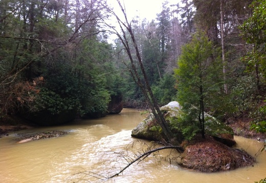 Swift Camp Creek Trail - 4